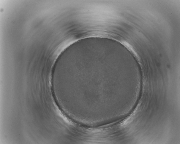 X0000088590846200706011136