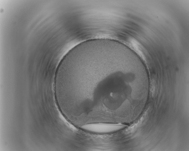 X0000088590847200706011136