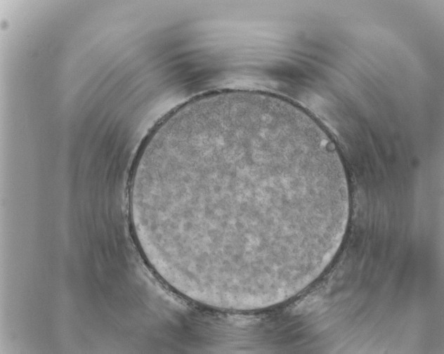 X0000088590848200706011136