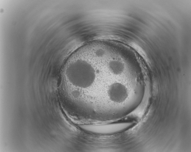 X0000088590849200706011136