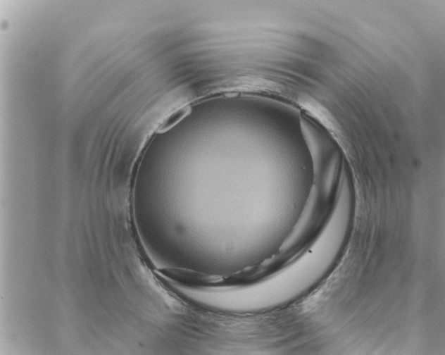 X0000088590850200706011136