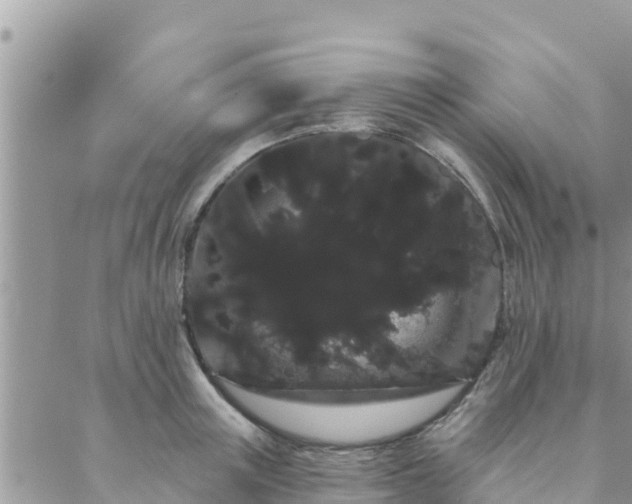 X0000088590851200706011136