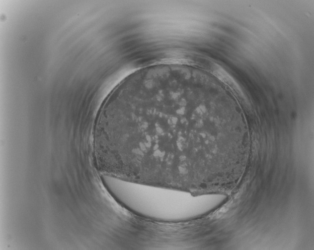 X0000088590852200706011136