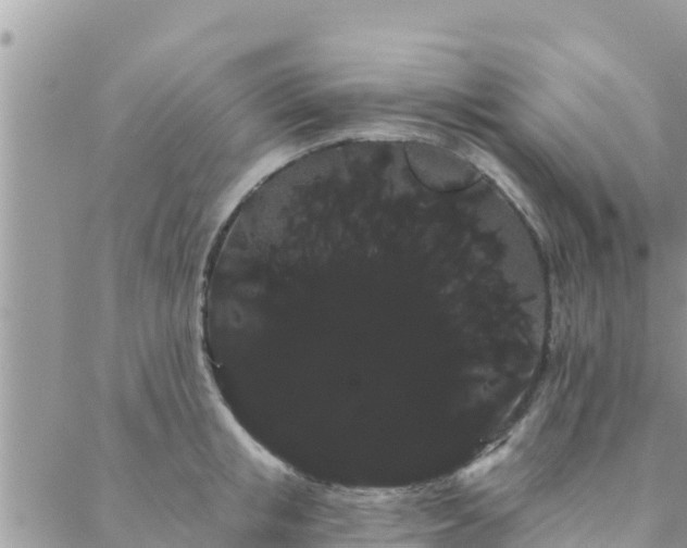 X0000088590853200706011136