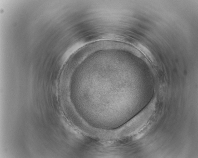 X0000088590854200706011136