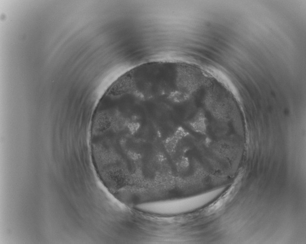 X0000088590855200706011136