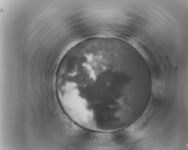 X0000088590856200706011136