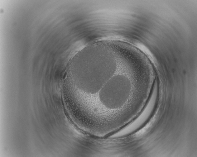 X0000088590857200706011136