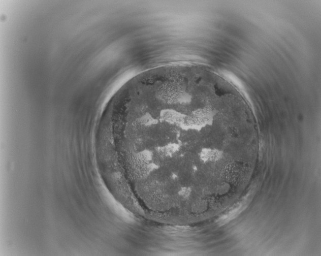 X0000088590859200706011136