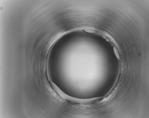 X0000088590860200706011136