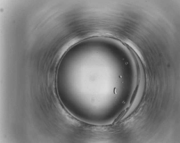 X0000088590861200706011136