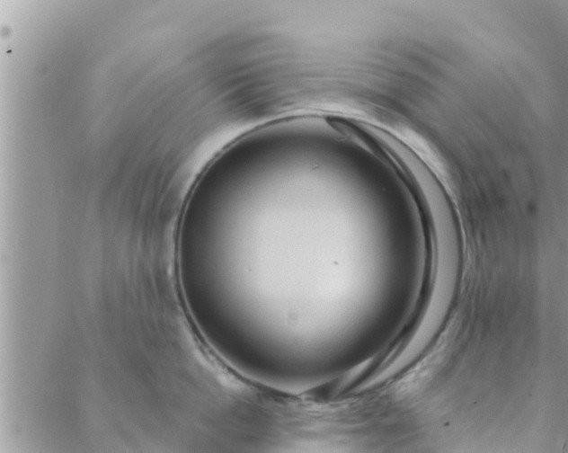 X0000088590862200706011136