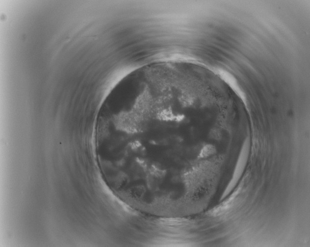 X0000088590863200706011136