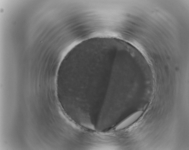 X0000088590864200706011136