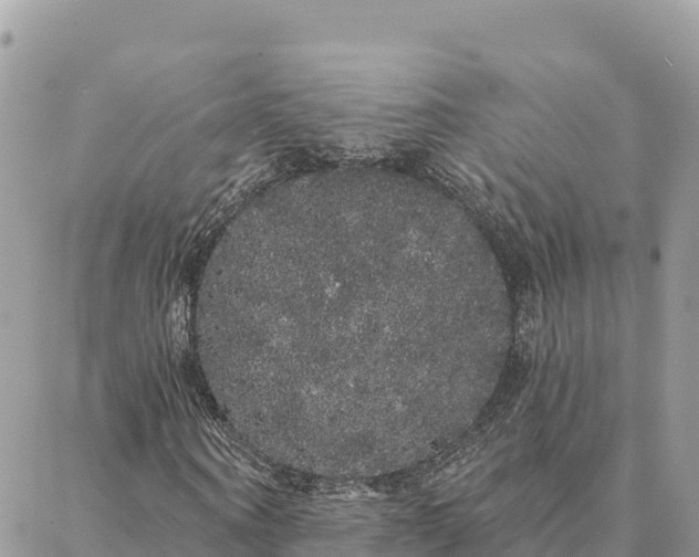 X0000088590866200706011135