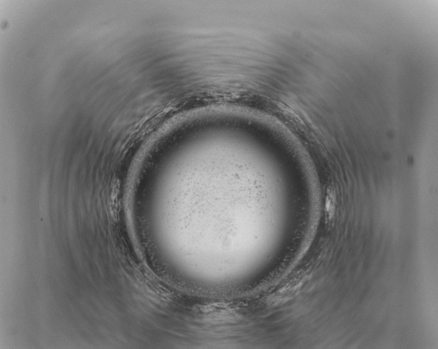 X0000088590867200706011135