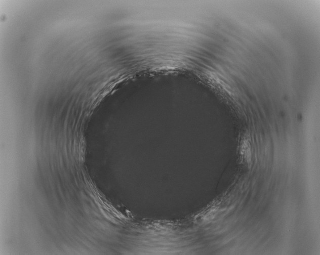 X0000088590868200706011135