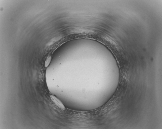 X0000088590869200706011135