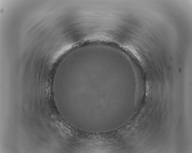 X0000088590872200706011135