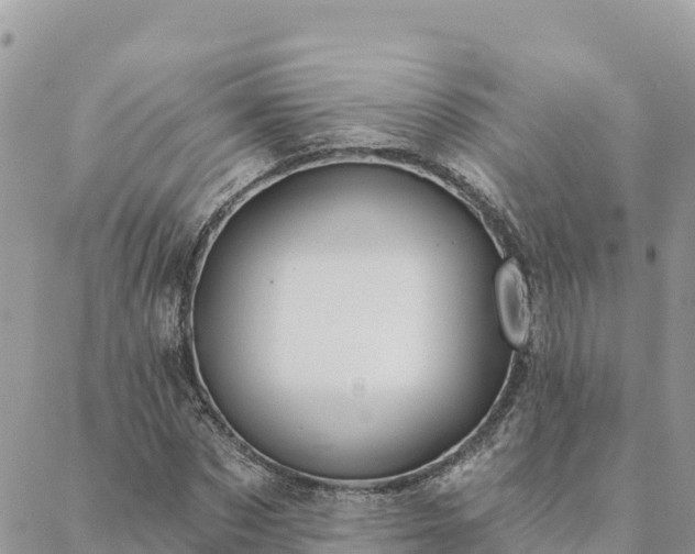 X0000088590873200706011135