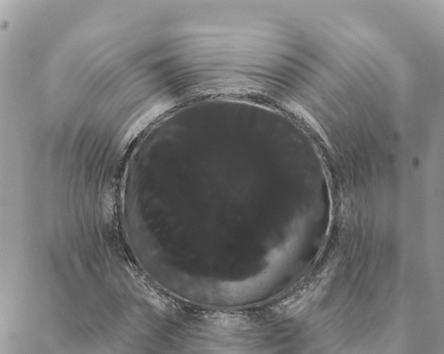 X0000088590874200706011135