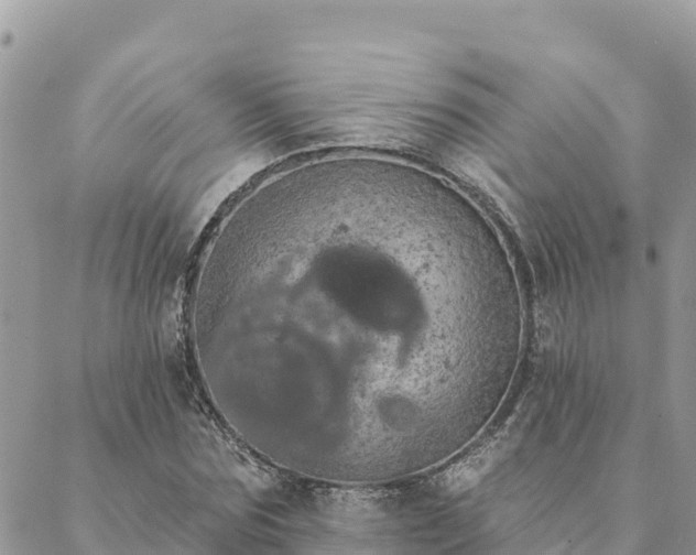 X0000088590875200706011135