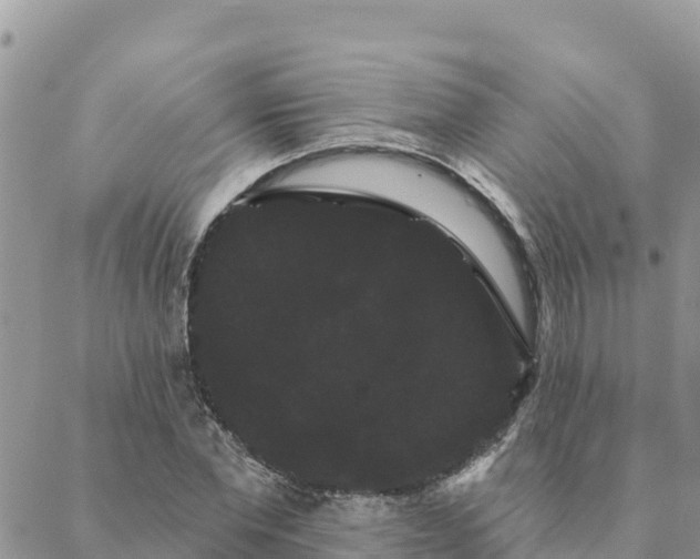 X0000088590877200706011135