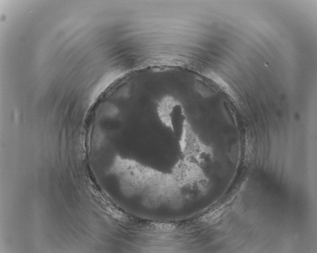 X0000088590878200706011135