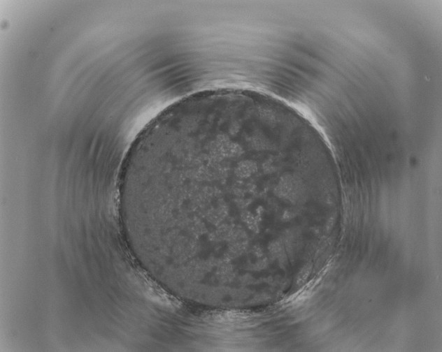 X0000088590879200706011135