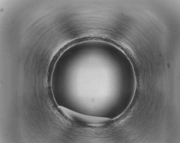 X0000088590880200706011135