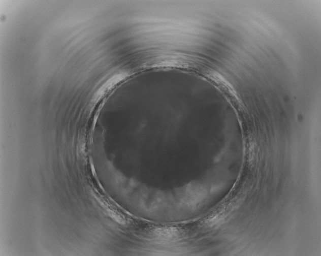 X0000088590882200706011135