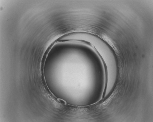 X0000088590884200706011135