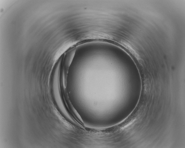 X0000088590885200706011135