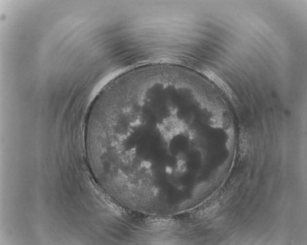 X0000088590886200706011135