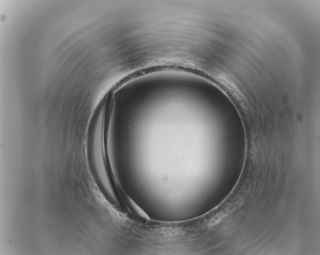 X0000088590888200706011135