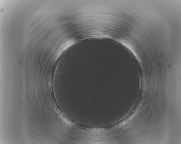 X0000088590889200706011135