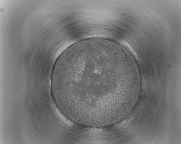 X0000088590890200706011135