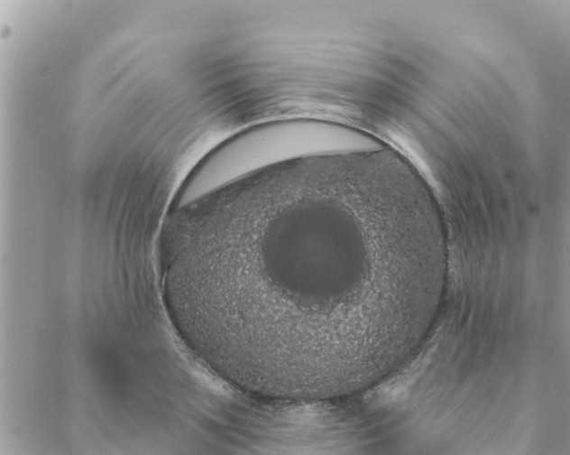 X0000088590891200706011135