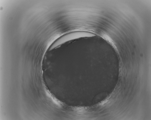 X0000088590892200706011135