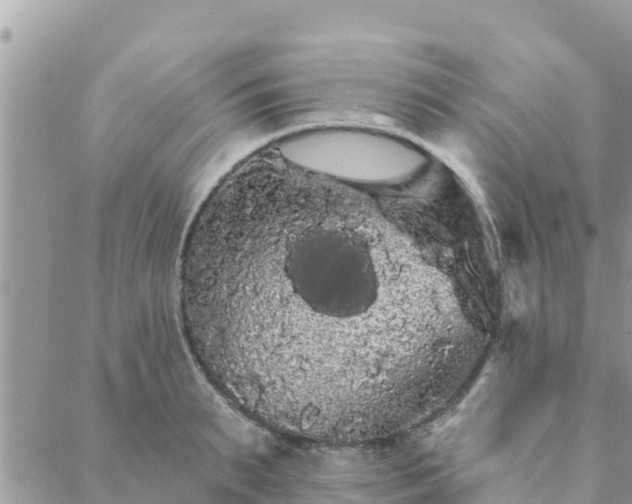 X0000088590895200706011135