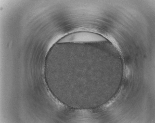 X0000088590896200706011135