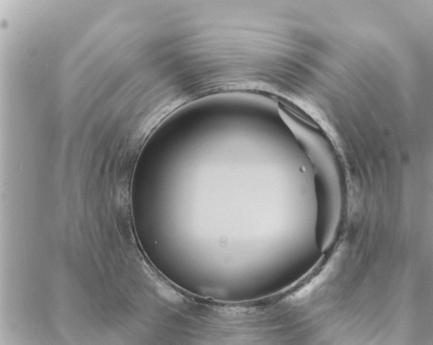 X0000088590897200706011135