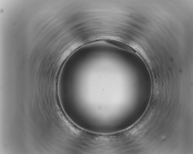 X0000088590898200706011135