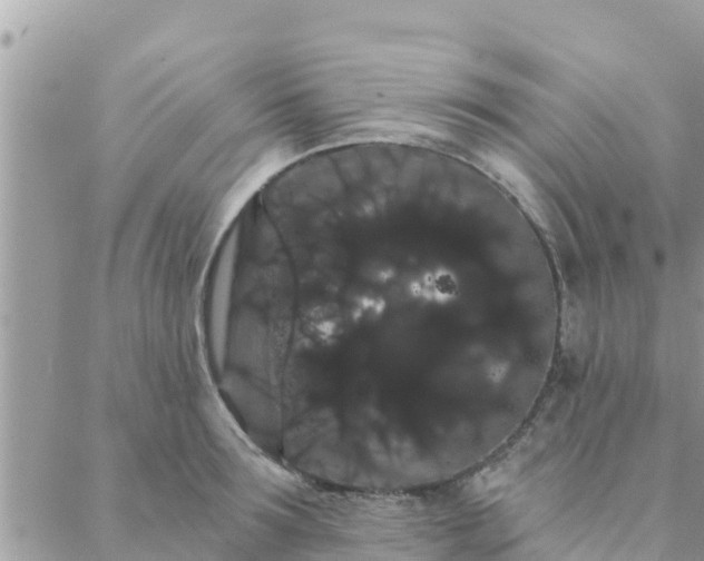 X0000088590899200706011135