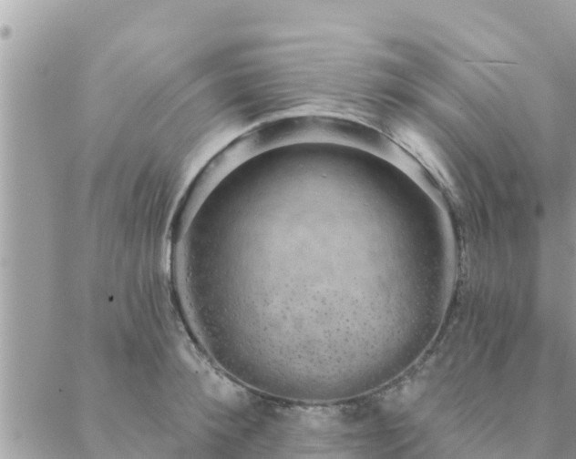 X0000088590900200706011135