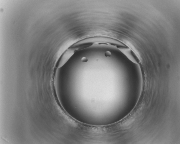 X0000088590901200706011135