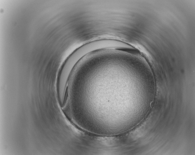 X0000088590902200706011135