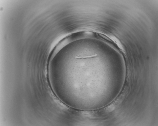 X0000088590904200706011135