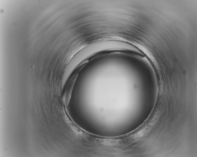 X0000088590905200706011134