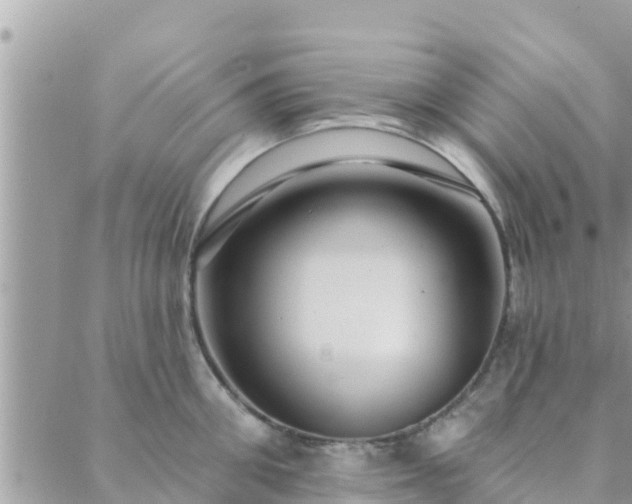 X0000088590906200706011134